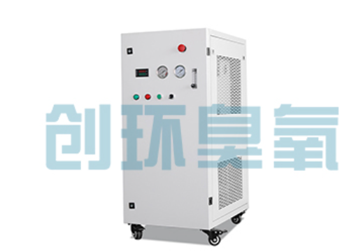 海港石斑鱼养殖水质调控完整指南：臭氧发生器配置与操作步骤