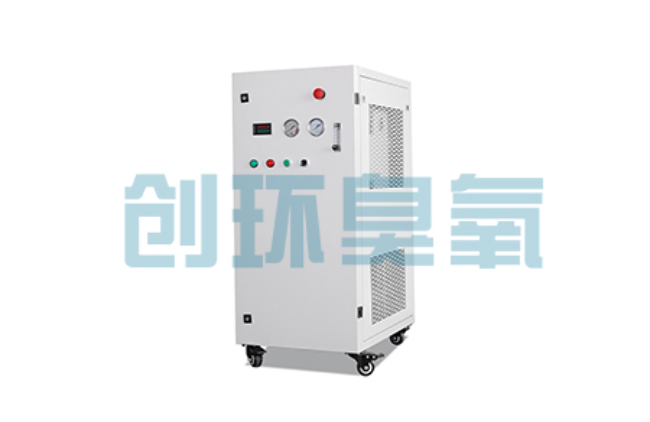 海港比传统换水更高效？臭氧发生器在石斑鱼养殖中的水质净化原理解析